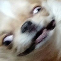 sabini (@shyyo7) 's Twitter Profile