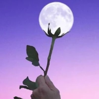 من غار الحكمة إلى غار القناعة إلى سفح العطاء إلى قمة السكينة أظن بأن هذا مساري فليبارك الله لي، ليس من السهل أن نعرف موقعنا الحالي في خريطة العمر