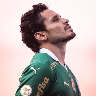 Explicar a emoção de ser palmeirense, a um palmeirense, é totalmente desnecessário. E a quem não é palmeirense... É simplesmente impossível!
-Joelmir Beting