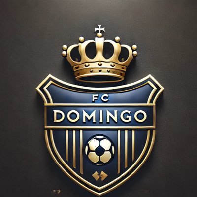 横浜市青葉区を拠点とし、神奈川県社会人サッカーに登録しているFCドミンゴと申します。神奈川県2部リーグ所属。活動日は水曜日の夜練(谷本公園)と日曜日。活動場所は横浜市内のグラウンド(谷本公園、玄海田公園中心)を主としております。随時メンバー募集していますのでご応募お待ちしております!