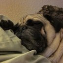 Donald Northrup - @Donwhon121 - Twitter