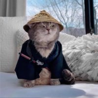 Zephyr (@zephyrary) 's Twitter Profile