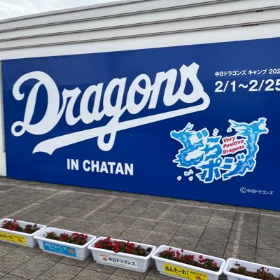jkazulh's profile picture. スポーツ大好き、とくにバドミントンと野球は大好き🏸⚾️野球はすっかり見る専門📺小さい頃からの中日ドラゴンズファンです‼️2024・2025沖縄キャンプ⚾️2025現地応援(シーズン3勝3敗、OP0勝3敗1分) 11/15侍ジャパン観戦予定 #野球 #中日ドラゴンズ #根尾昂 #福永裕基 #岡田俊哉