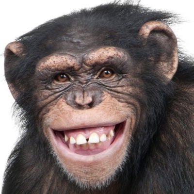 Ryo556808662627's profile picture. EMC