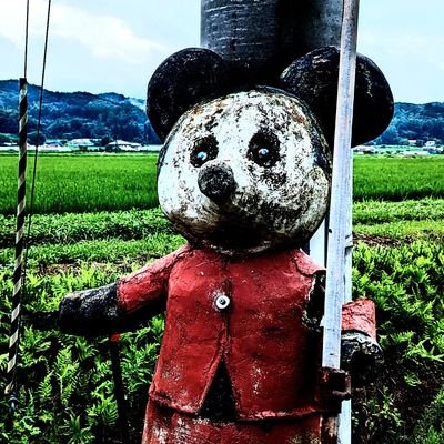 私は人間です。