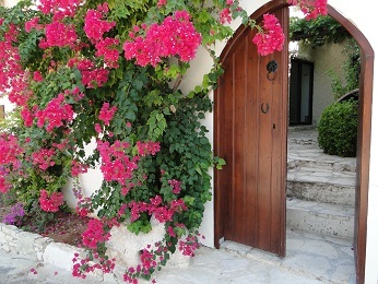 I am a lovely old stone property in Dhoros Cyprus, just waiting to welcome you to stay with me for an Idyllic holiday in the Troodos mountains