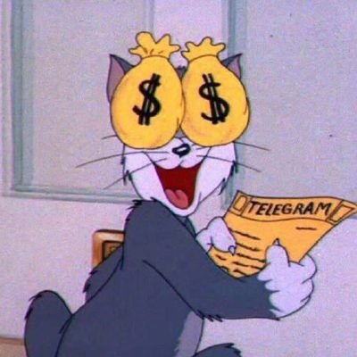 17721983wer's profile picture. 