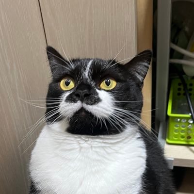 eunhye021106's profile picture. 