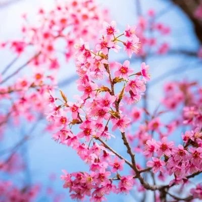 Niraj7936835770's profile picture. 