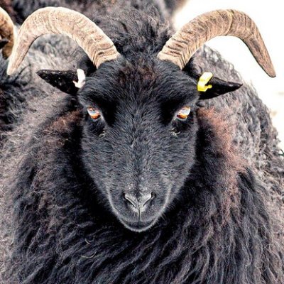 Vanedenburg's profile picture. 