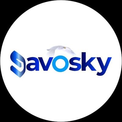 savoskys's profile picture. Where every journey tells a story... | Unforgettable travel experiences with Savosky #Savosky #TravelDiaries #Explore