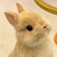 ゆりり。 (@yuririn___nn) 's Twitter Profile