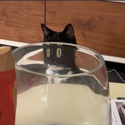 _Playlis's profile picture. บ่นเรื่องบ้าๆในชีวิต