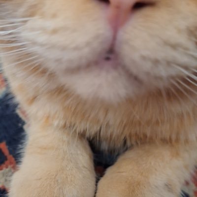 مکانی برای مغزِ کپک زدهی من https://t.co/uH5rj0ot0v