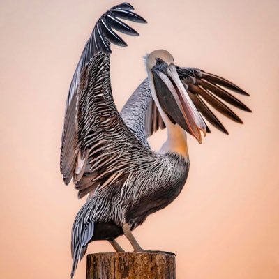 KathSargeant's profile picture. 