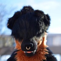 Ergo (@knotbeforedawn) 's Twitter Profile Photo