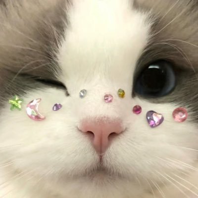 🪙𝕄𝕚𝕫𝕦𝕟𝕦𝕞亞 🪬さんのプロフィール画像