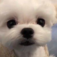 준식 (@junsikk_) 's Twitter Profile Photo 준식 (@junsikk_) 's Twitter Profile Photo