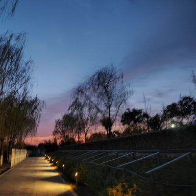 mqixinshng1's profile picture. fo？