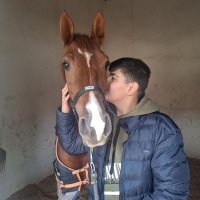 Vural Aktürk (@vuralaktrk3) 's Twitter Profile