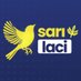 🟡sarı-laci (@sarilaciapp) Twitter profile photo 🟡sarı-laci (@sarilaciapp) Twitter profile photo