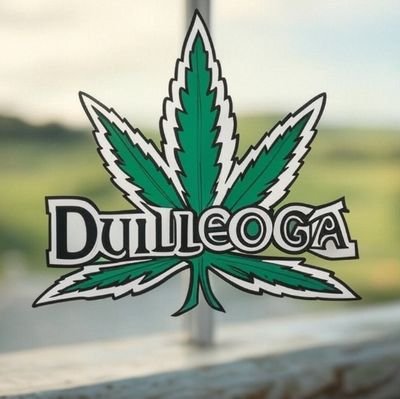 Legalize_itEire's profile picture. Legalize, Regulate & Tax 🇮🇪🌿