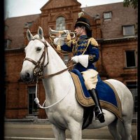 Ireland's Military Story (@irmilitarystory) 's Twitter Profile Photo Ireland's Military Story (@irmilitarystory) 's Twitter Profile Photo