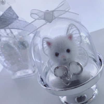 ᐡᴗ ᴗᶻ𝗓 (@hqcuu_) / Posts / X