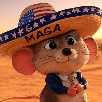 SpeedScandal's profile picture. 2A advocate and meme lover. Into general shitposting and other tomfoolery.
@gunpolicy member.