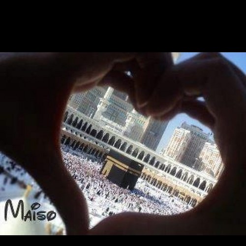 arwa_1412's profile picture. 