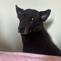 SuD-Te_eN (@sudratreep) 's Twitter Profile
