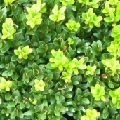 WortDatenbank's profile picture. IMPRINT under https://t.co/mzUZUoRqto  - Community - https://t.co/mrimpuvB1h - NEWS - https://t.co/DzuYyEA2BM  - Homepage - https://t.co/ygaKABoqCY