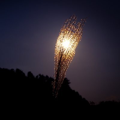 zero_1_u_k's profile picture. 