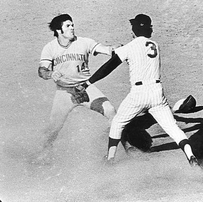 PedroRosa141414's profile picture. 