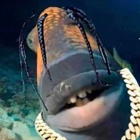 IIIIII (@adezz74) 's Twitter Profile