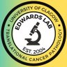 LabEdwards's profile picture. Our aim is to risk stratify cancer patients and identify novel therapeutic strategies. Tweets from Sara Al Badran. Wolfson Wohl Cancer Research Centre