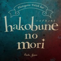 hakobunenomori (@hakobunenomori) 's Twitter Profile