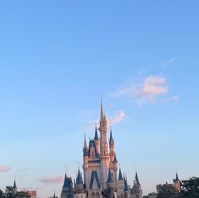 aoish_818's profile picture. #春から成蹊 文学部日本文学科ᝰ✍🏻✩꙳