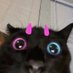 yuhno | Comms open (@princessyuhno) Twitter profile photo yuhno | Comms open (@princessyuhno) Twitter profile photo