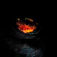 PANTHERS ESPORTS (@panthersesportt) 's Twitter Profile Photo PANTHERS ESPORTS (@panthersesportt) 's Twitter Profile Photo
