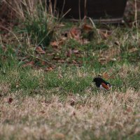 N (@nathanrider18) 's Twitter Profile Photo