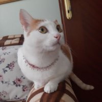 Türkan Ataç (@atctrkn) Twitter profile photo