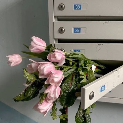 13Z5x's profile picture. 