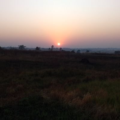 ArnoldMark94781's profile picture. Quantitative Economics degree holder from #MakerereUniversity @COBAMS.
Data analyst, economist and politician. Samia dialect.