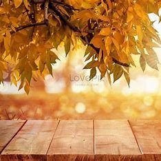 ftteos's profile picture. 