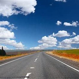 xmrdent's profile picture. 