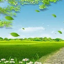 dydxlinkk's profile picture. 