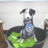 Boi o Bryman🦢🏴󠁧󠁢󠁷󠁬󠁳󠁿 (@alarchwen1968) Twitter profile photo