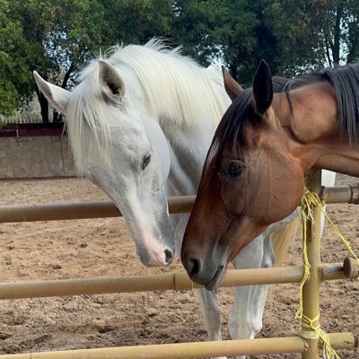 12arei's profile picture. 🦋