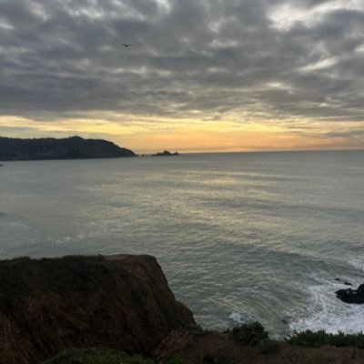 Gayathri073's profile picture. 